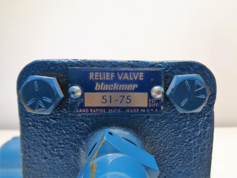 Blackmer Pump NP1.58 with Relief Valve 51-57